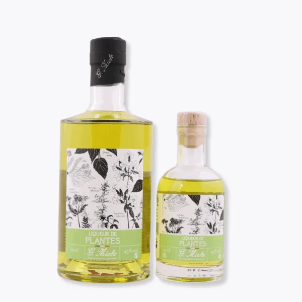 duo bouteilles liqueur de plantes miclo