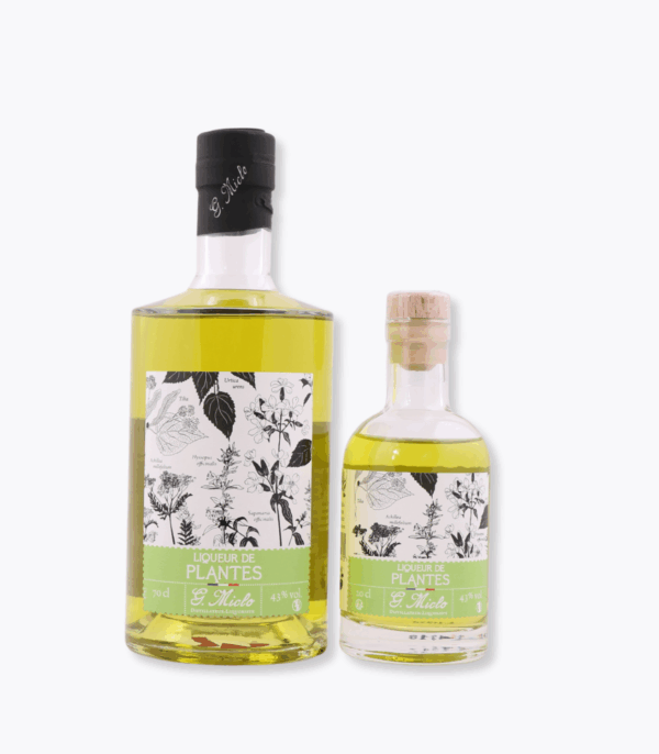 duo bouteilles liqueur de plantes miclo