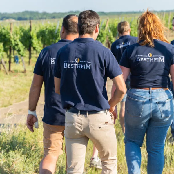 equipe bestheim dans les vignes