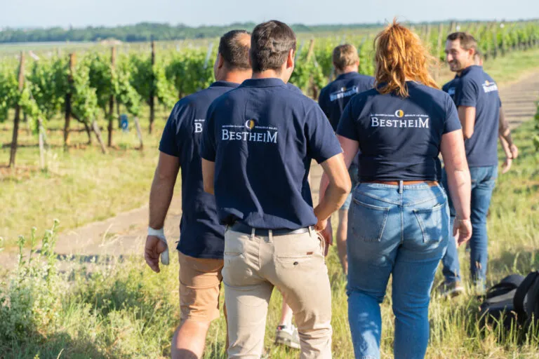 equipe bestheim dans les vignes