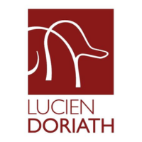 logo maison doriath