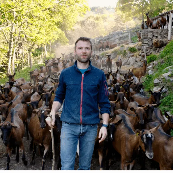 gaspard schmitt et ses chèvres en paturage