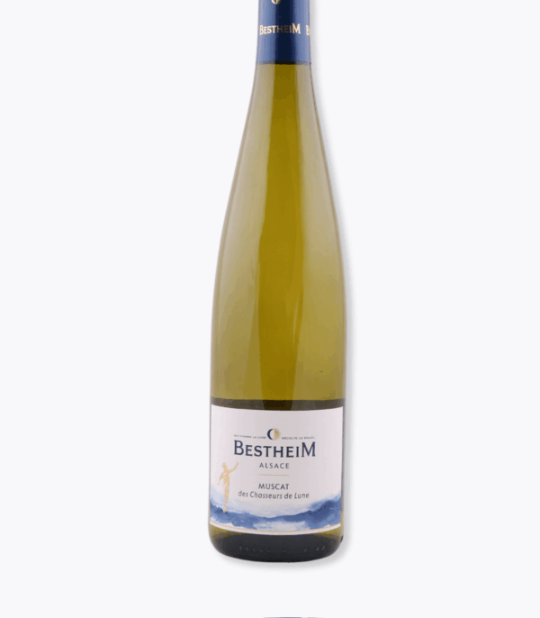 muscat bestheim