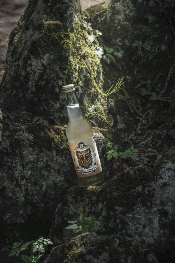 bouteille kombucha citron gingembre dans foret sombre