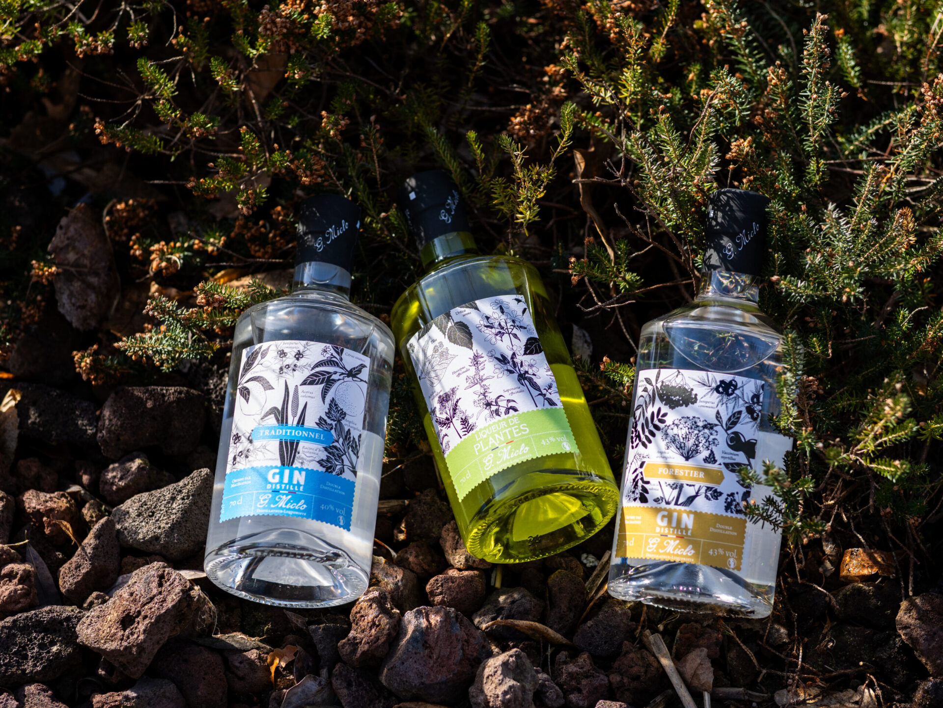 2 gins et 1 liqueurs de plante dans du sapin