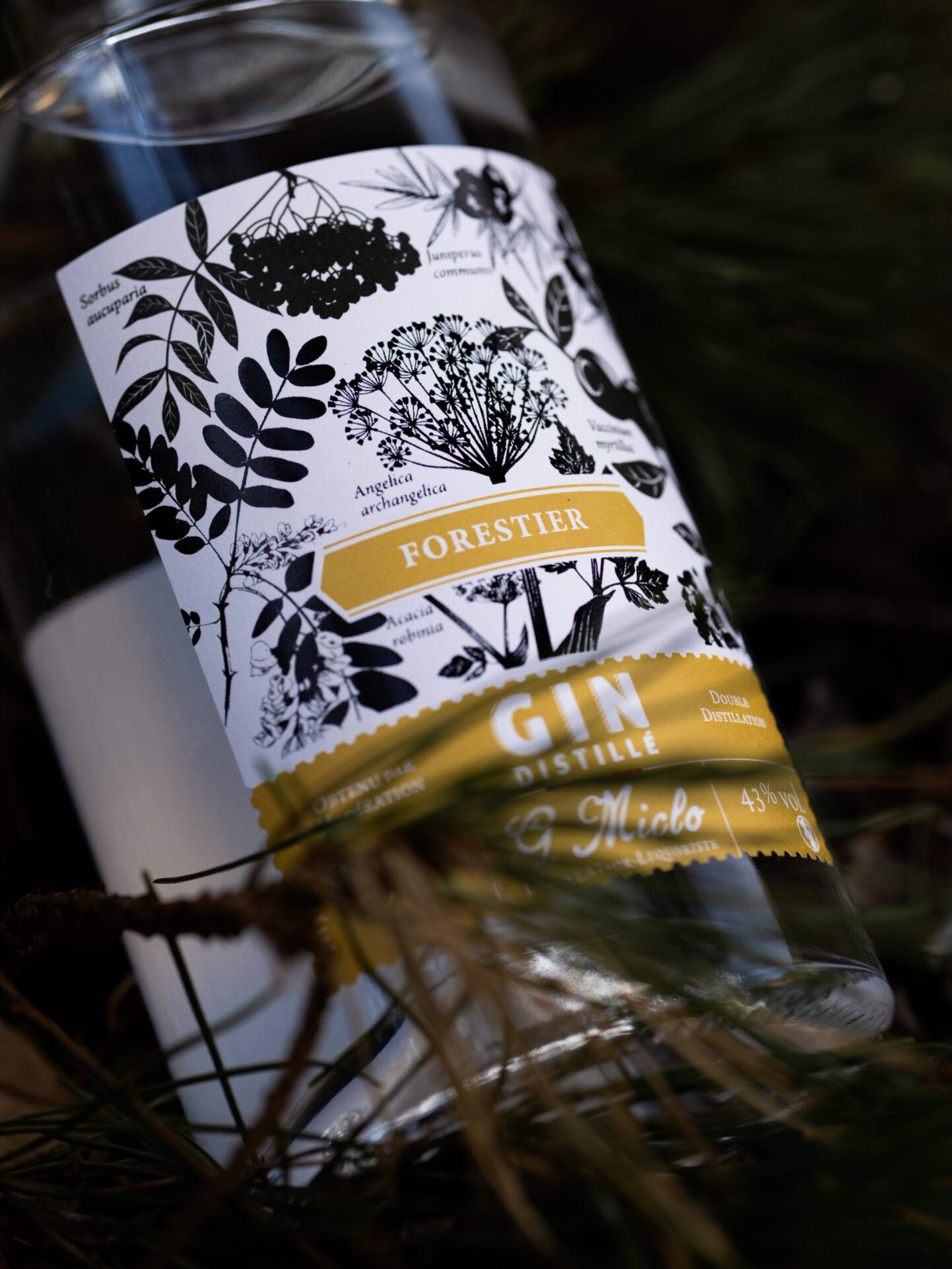 zoom sur une bouteille de gin forestier alsacien légèrement caché derrière une branche de sapin