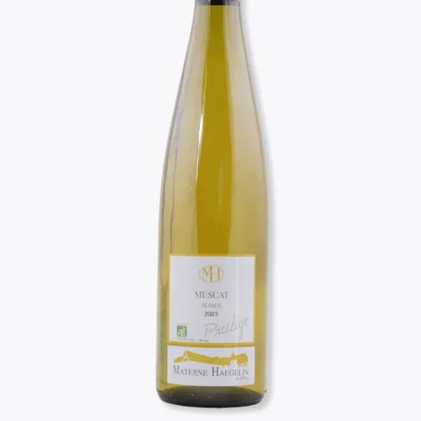 muscat prestige materne haegelin