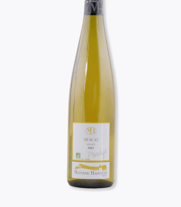 muscat prestige materne haegelin