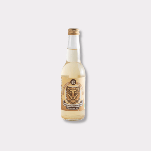 kombucha non pasteurisé fond gris
