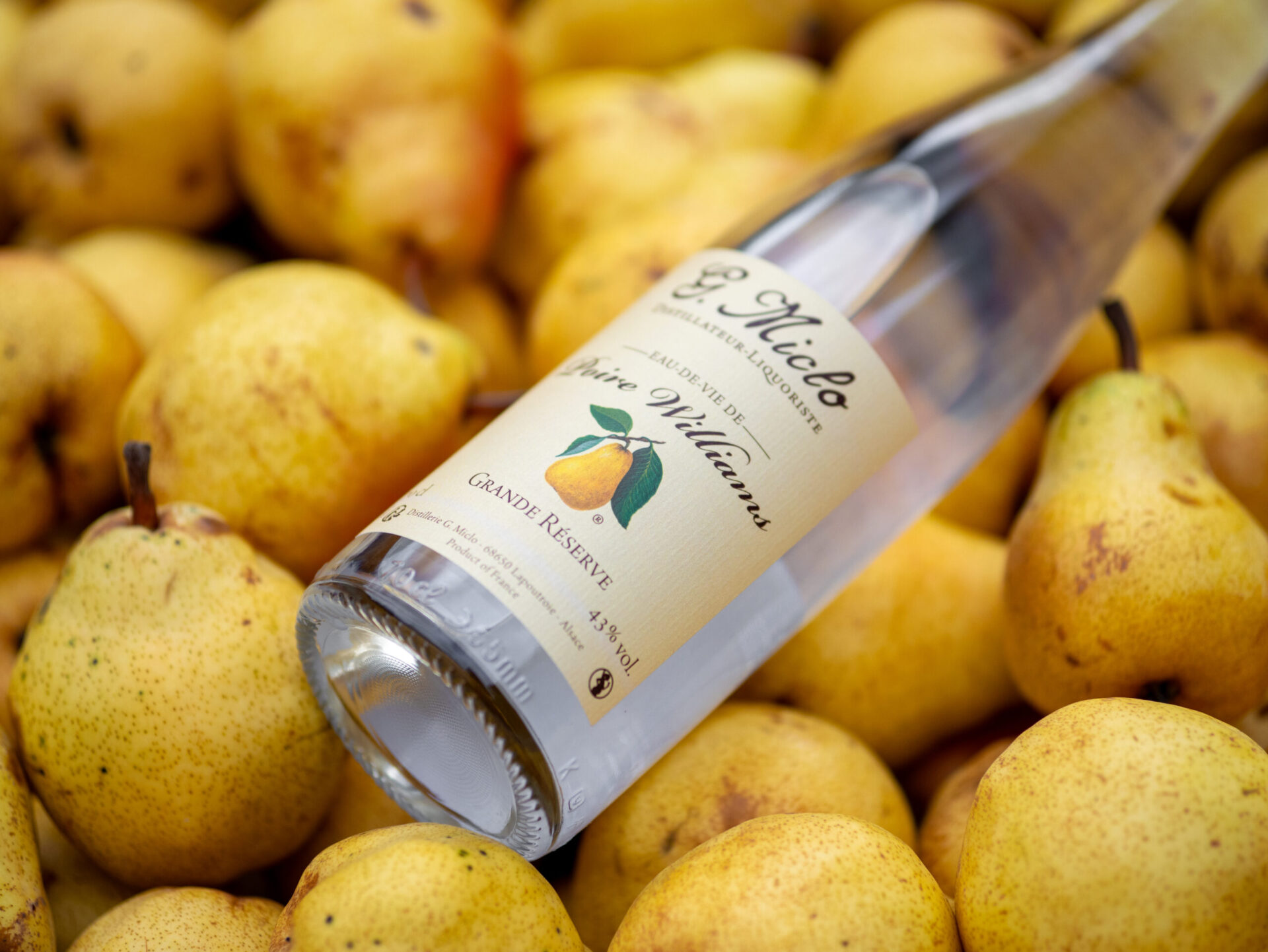 bouteille de poire williams dans un décors de poires
