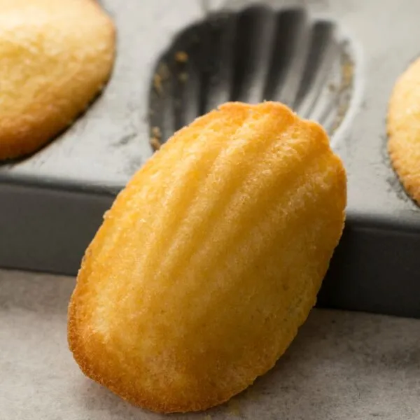 madeleine sortie du moule