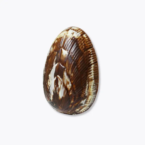 photo œuf marbré au chocolat au lait