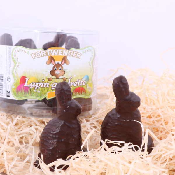 2 lapins en chocolat noir sur de la paille