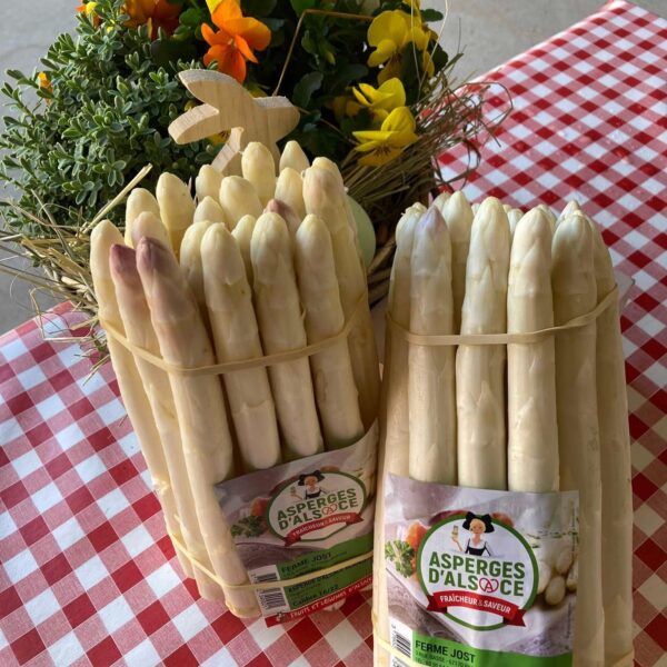 botte d'asperges blanches fleith