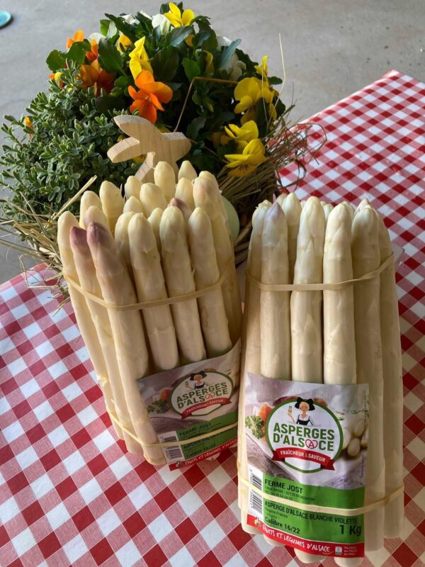 botte d'asperges blanches fleith