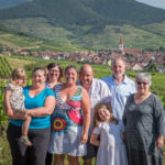 Domaine Meyer Théo & Fils
