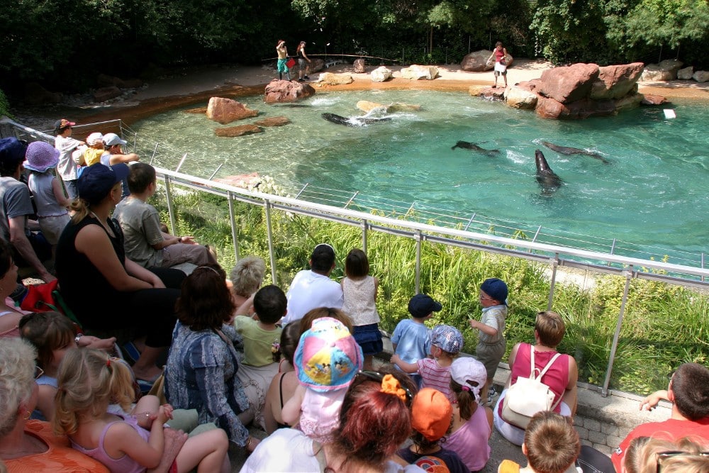 spectacle parc animalier 